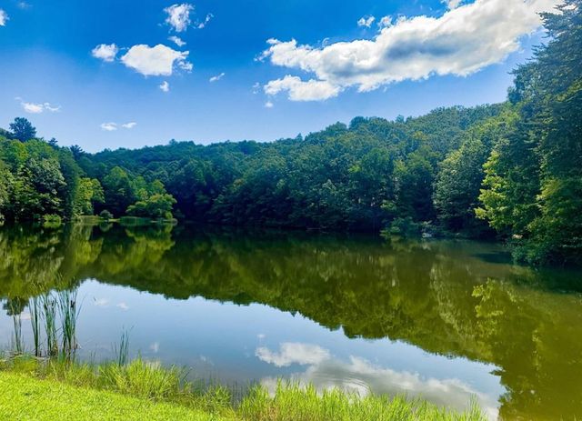 133 Pine Ridge Road, Ellijay, GA 30536