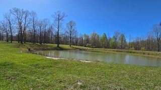217 A Day Dream Drive, Dunlap, TN 37327