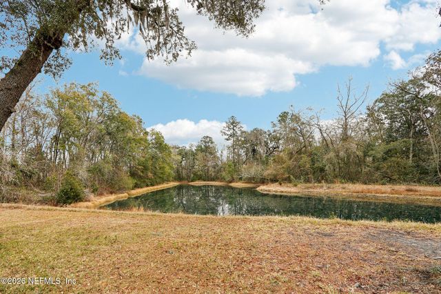 98 SWIMMING PEN Drive, Middleburg, FL 32068