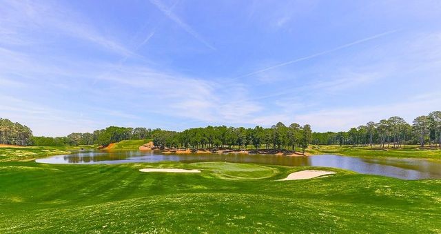 250 Hawks Lake Drive, Ball Ground, GA 30107