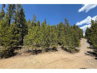 312 Vista Rd, Idaho Springs, CO 80452
