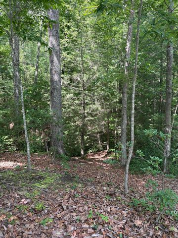100 Cowboy Lane, Wellington, KY 40387
