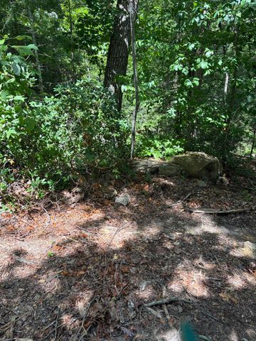 100 Cowboy Lane, Wellington, KY 40387