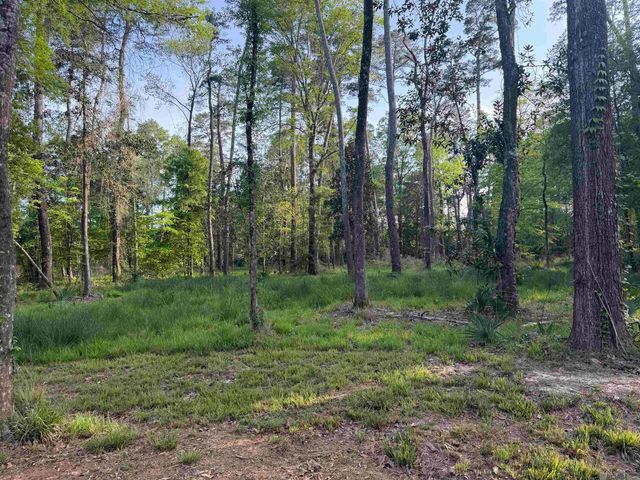1-B-2-A-3 Clinton Allen Rd, Denham Springs, LA 70706