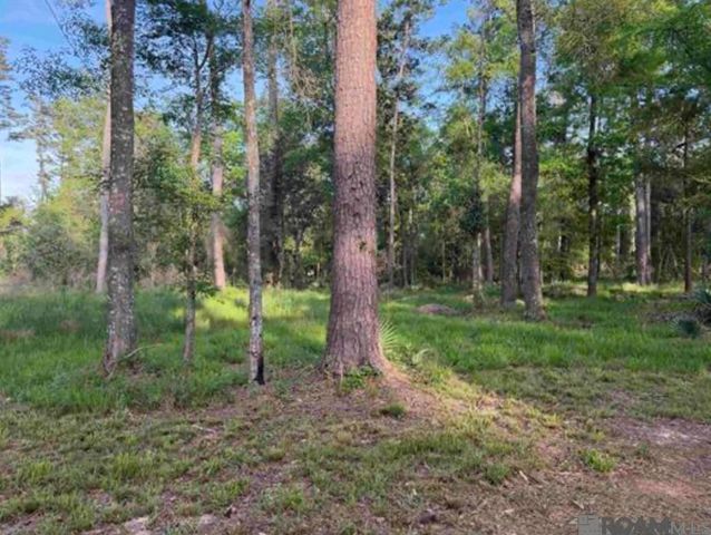 1-B-2-A-3 Clinton Allen Rd, Denham Springs, LA 70706