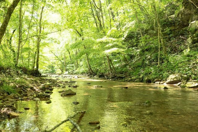 5570 Chambers Rd, Cumberland Furnace, TN 37051