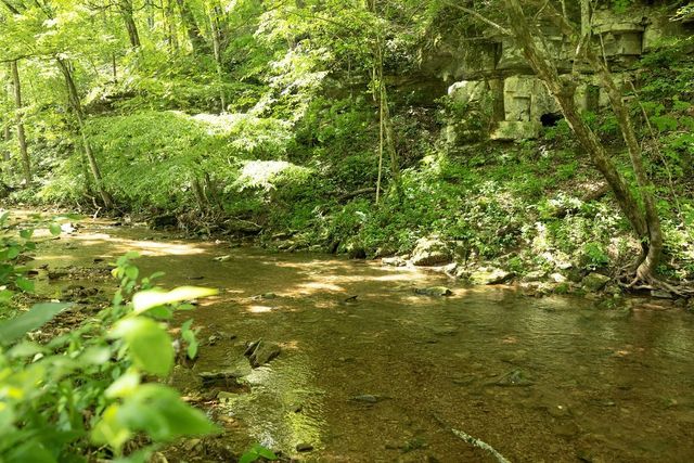 5570 Chambers Rd, Cumberland Furnace, TN 37051