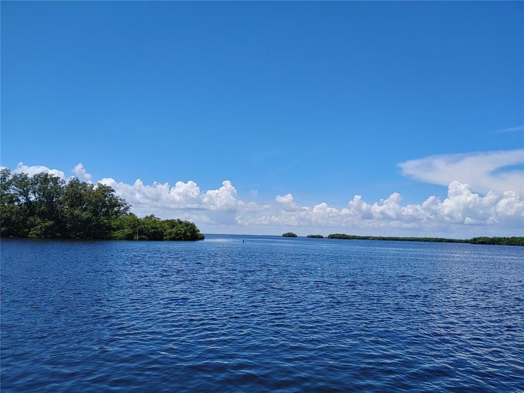 1020 CANAL STREET, Ruskin, FL 33570