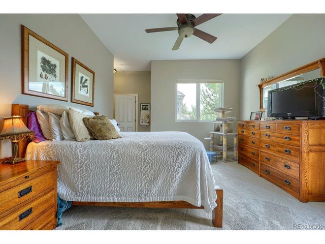 4820 Silver Pine Dr, Castle Rock, CO 80108