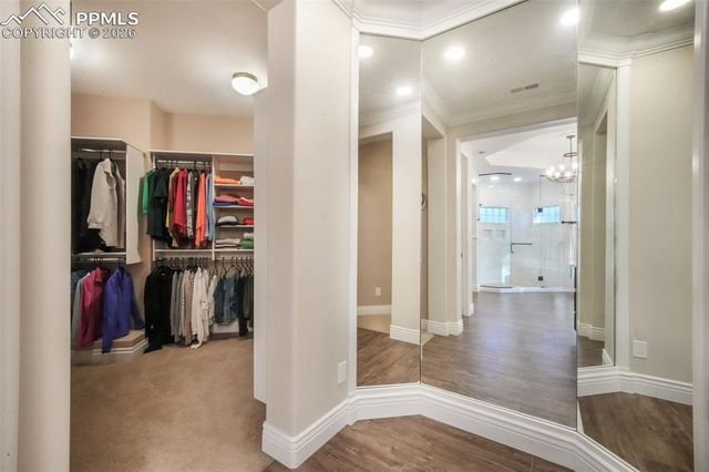 16092 Waving Branch Way, Colorado Springs, CO 80908