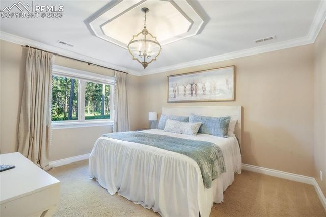 16092 Waving Branch Way, Colorado Springs, CO 80908