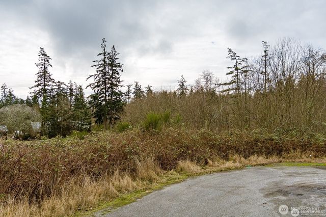 0 XXX Dunlap Drive, Freeland, WA 98249