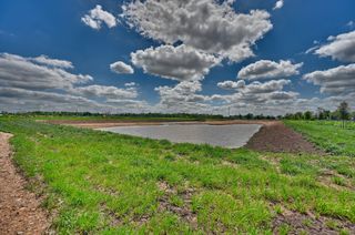 0 Bartlett Rd Road, Sealy, TX 77474