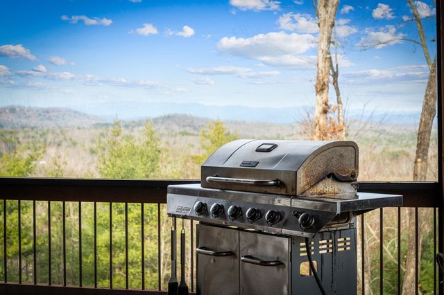 287 Scouts Overlook, Morganton, GA 30560