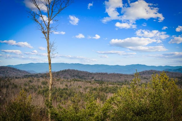 287 Scouts Overlook, Morganton, GA 30560