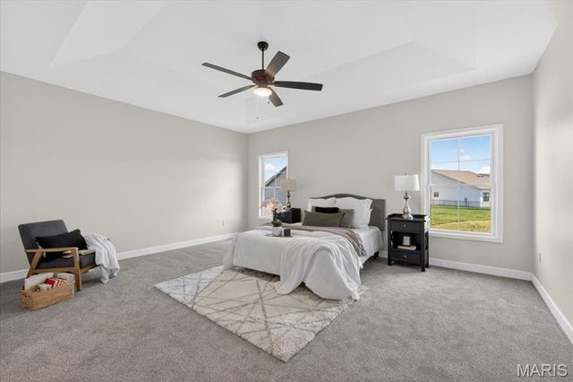 604 Tea Olive Boulevard, O'fallon, IL 62269
