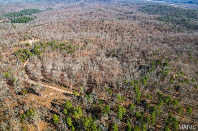 133 Madison CR 411, Fredericktown, MO 63645