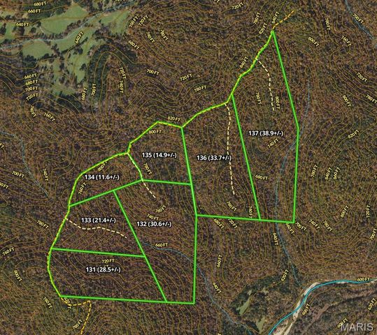 133 Madison CR 411, Fredericktown, MO 63645