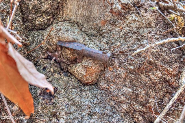 44 E Ramsey Canyon Road, Hereford, AZ 85615