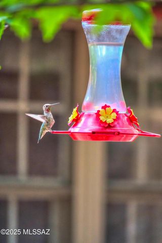 44 E Ramsey Canyon Road, Hereford, AZ 85615