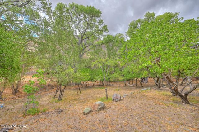 44 E Ramsey Canyon Road, Hereford, AZ 85615