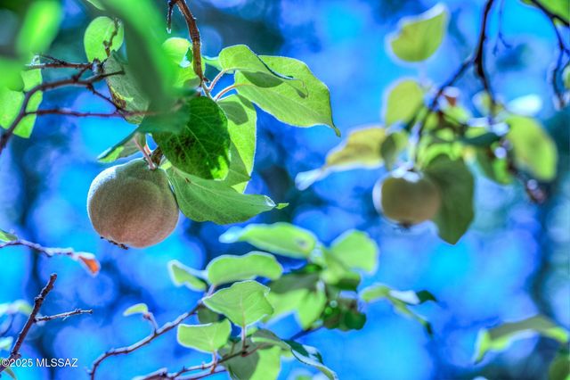 44 E Ramsey Canyon Road, Hereford, AZ 85615