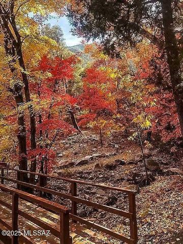 44 E Ramsey Canyon Road, Hereford, AZ 85615