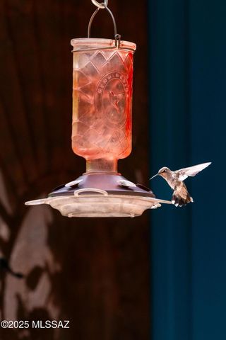 44 E Ramsey Canyon Road, Hereford, AZ 85615