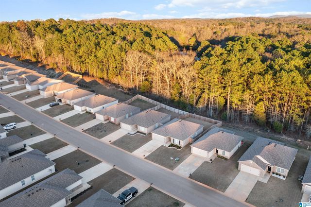 545 ANTLER WAY, Lincoln, AL 35096