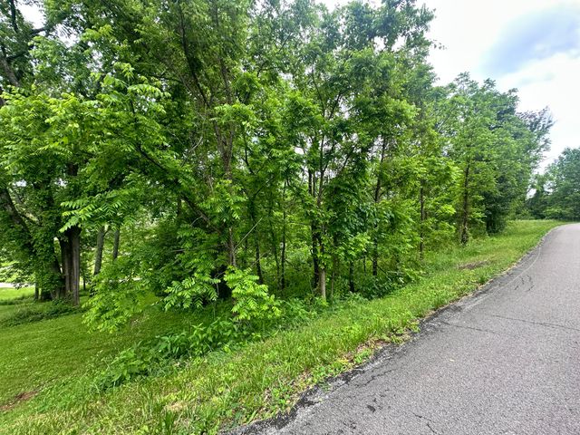 Lot 2 & 3 Joe Lewis Road, Somerset, KY 42503
