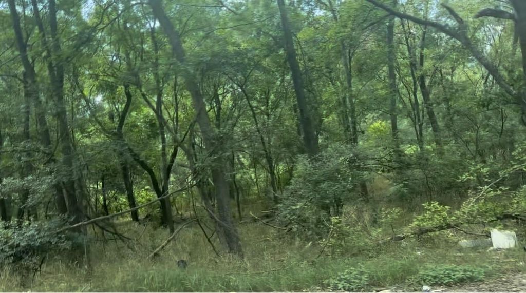 4102 Lower DR, Austin, TX 78725