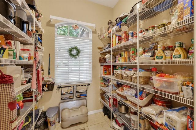 19703 TWIN PONDS ROAD, Umatilla, FL 32784