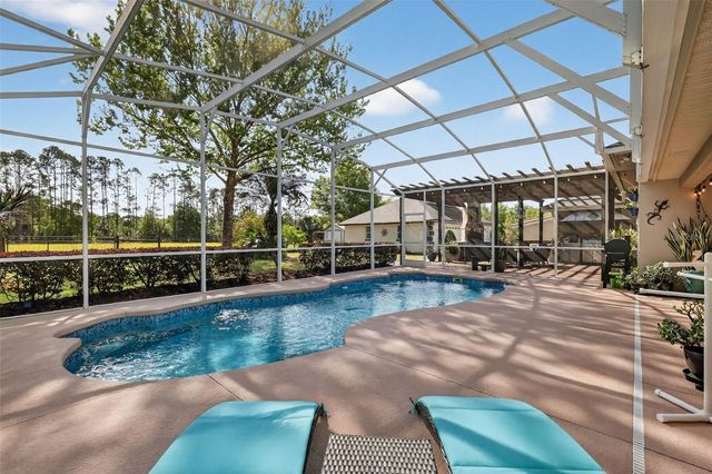 19703 TWIN PONDS ROAD, Umatilla, FL 32784