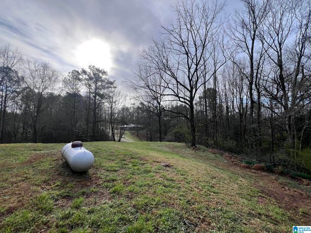 264 COUNTY ROAD 267, Muscadine, AL 36269