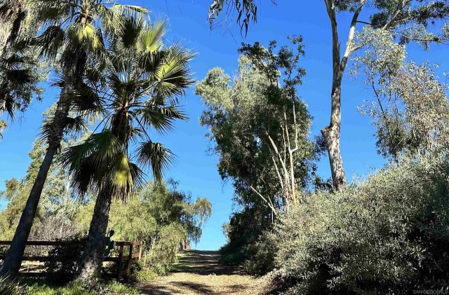 18096 Loma Alegre 15033, Rancho Santa Fe, CA 92067