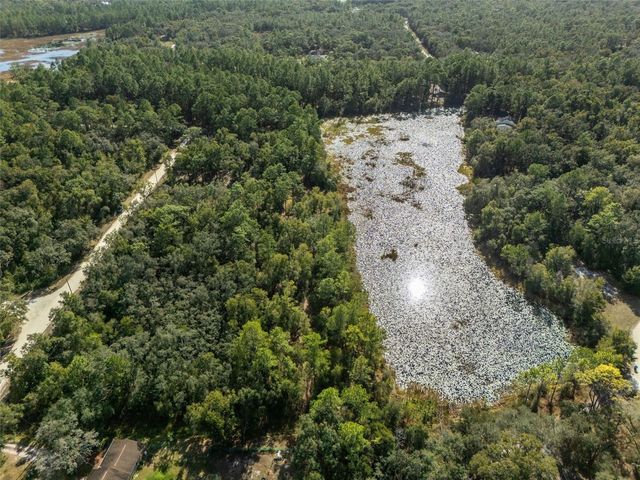 0 ALLOY STREET, Webster, FL 33597