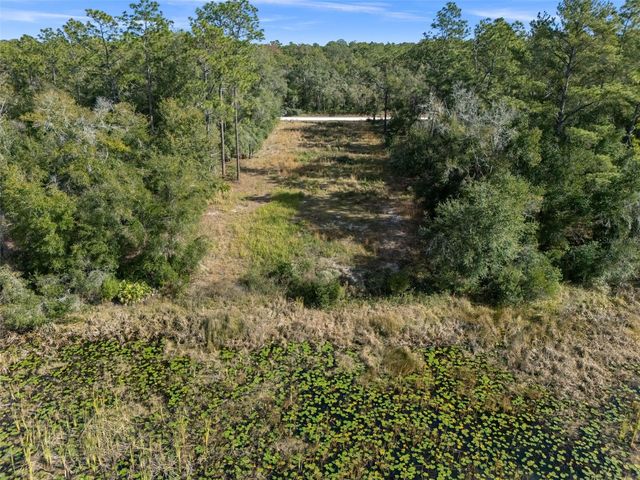 0 ALLOY STREET, Webster, FL 33597