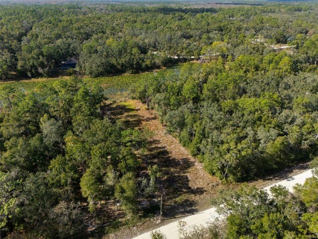 0 ALLOY STREET, Webster, FL 33597