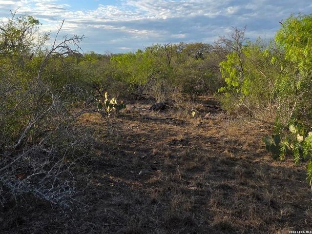 4029 County Road 117, Floresville, TX 78114