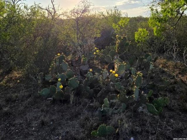 4029 County Road 117, Floresville, TX 78114