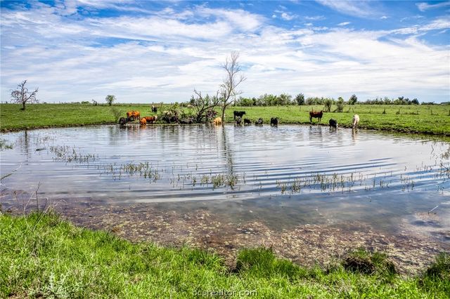 20751 FM 1155 E, Washington, TX 77880