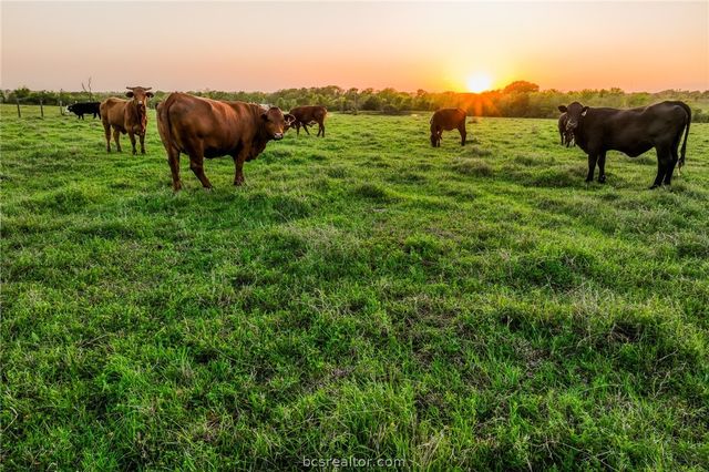 20751 FM 1155 E, Washington, TX 77880