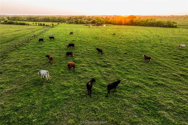 20751 FM 1155 E, Washington, TX 77880