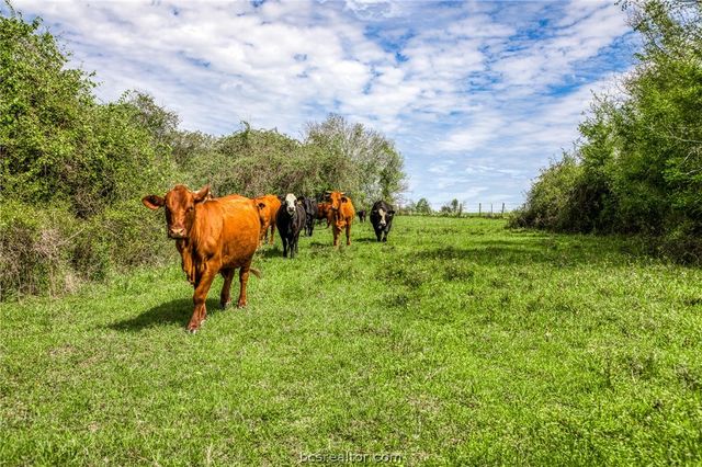 20751 FM 1155 E, Washington, TX 77880