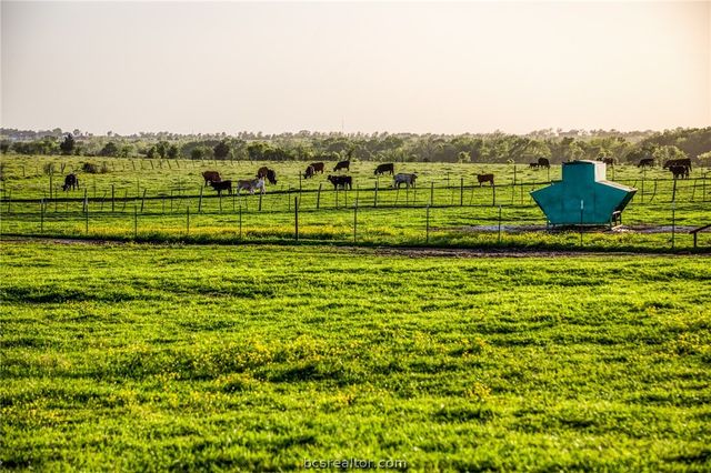 20751 FM 1155 E, Washington, TX 77880