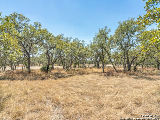 680 ANNABELLE AVE, Bulverde, TX 78163