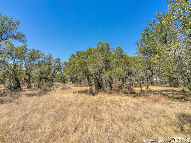 680 ANNABELLE AVE, Bulverde, TX 78163