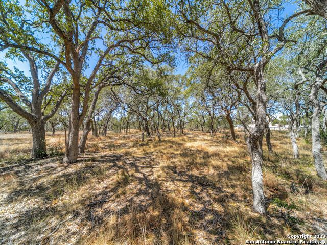 680 ANNABELLE AVE, Bulverde, TX 78163