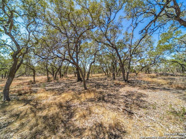 680 ANNABELLE AVE, Bulverde, TX 78163