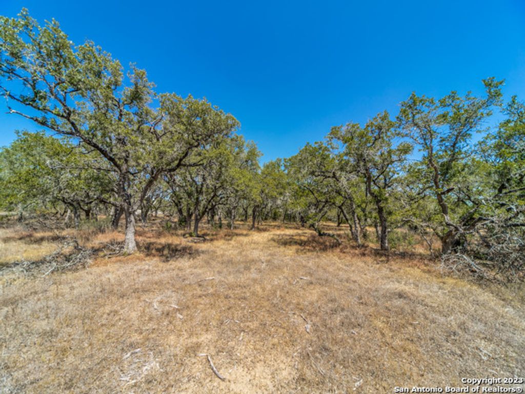 680 ANNABELLE AVE, Bulverde, TX 78163